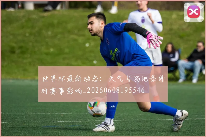 世界杯最新动态：天气与场地条件对赛事影响_20260608195546
