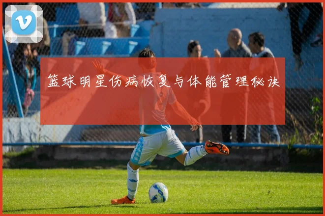 篮球明星伤病恢复与体能管理秘诀