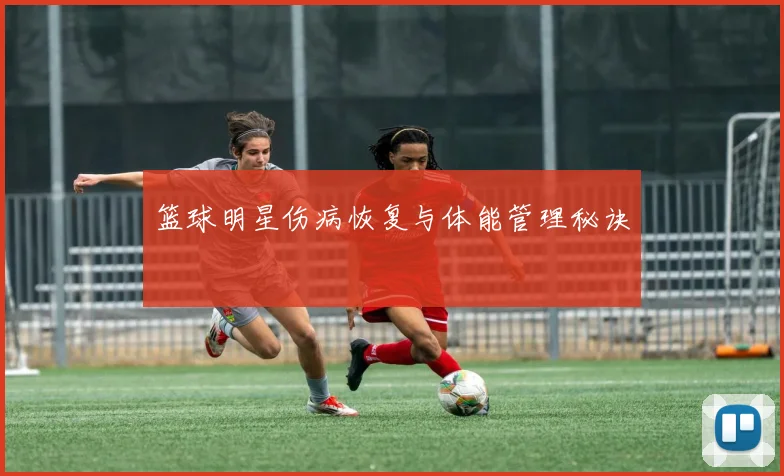 篮球明星伤病恢复与体能管理秘诀